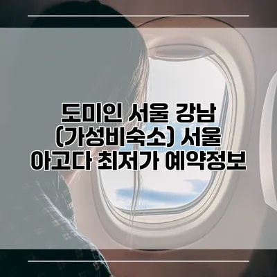 도미인 서울 강남 (가성비숙소) 서울 아고다 최저가 예약정보