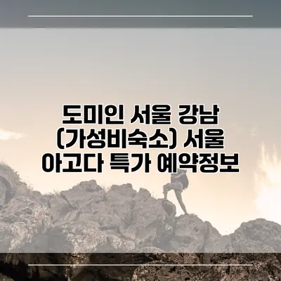 도미인 서울 강남 (가성비숙소) 서울 아고다 특가 예약정보