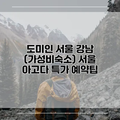 도미인 서울 강남 (가성비숙소) 서울 아고다 특가 예약팁