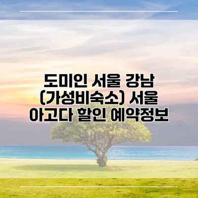 도미인 서울 강남 (가성비숙소) 서울 아고다 할인 예약정보