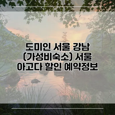 도미인 서울 강남 (가성비숙소) 서울 아고다 할인 예약정보