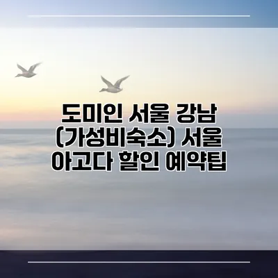 도미인 서울 강남 (가성비숙소) 서울 아고다 할인 예약팁