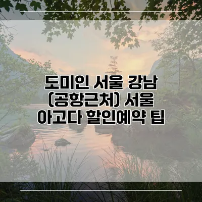 도미인 서울 강남 (공항근처) 서울 아고다 할인예약 팁