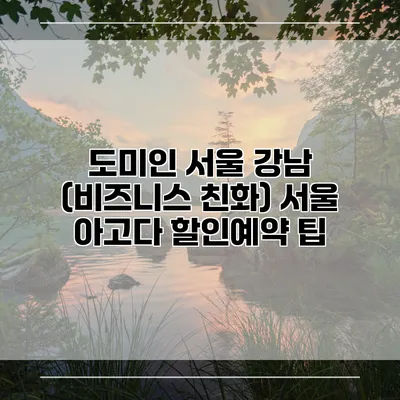 도미인 서울 강남 (비즈니스 친화) 서울 아고다 할인예약 팁