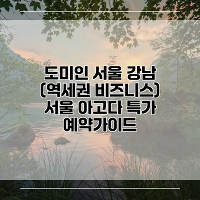 도미인 서울 강남 (역세권 비즈니스) 서울 아고다 특가 예약가이드