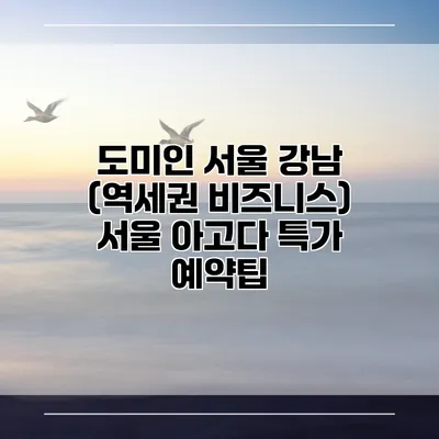 도미인 서울 강남 (역세권 비즈니스) 서울 아고다 특가 예약팁