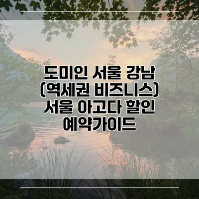 도미인 서울 강남 (역세권 비즈니스) 서울 아고다 할인 예약가이드