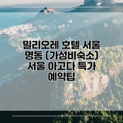 밀리오레 호텔 서울 명동 (가성비숙소) 서울 아고다 특가 예약팁