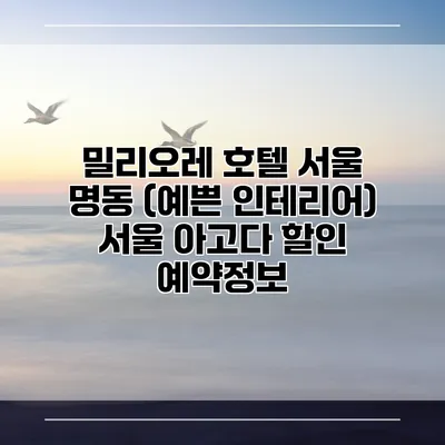 밀리오레 호텔 서울 명동 (예쁜 인테리어) 서울 아고다 할인 예약정보