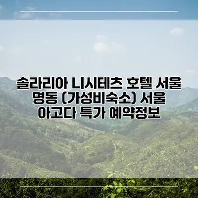 솔라리아 니시테츠 호텔 서울 명동 (가성비숙소) 서울 아고다 특가 예약정보