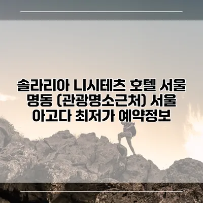 솔라리아 니시테츠 호텔 서울 명동 (관광명소근처) 서울 아고다 최저가 예약정보