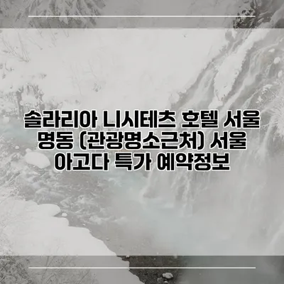 솔라리아 니시테츠 호텔 서울 명동 (관광명소근처) 서울 아고다 특가 예약정보