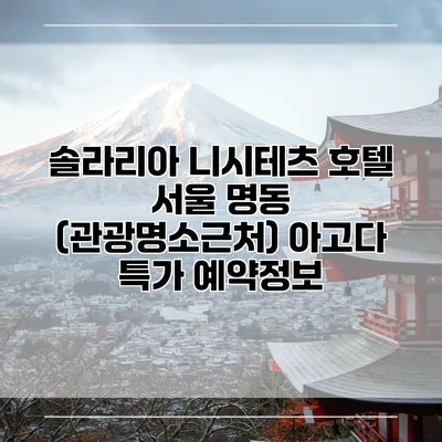솔라리아 니시테츠 호텔 서울 명동 (관광명소근처) 아고다 특가 예약정보