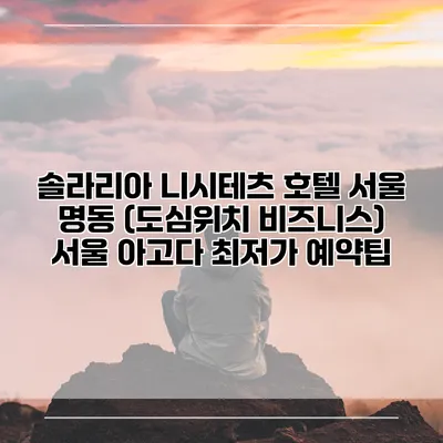 솔라리아 니시테츠 호텔 서울 명동 (도심위치 비즈니스) 서울 아고다 최저가 예약팁