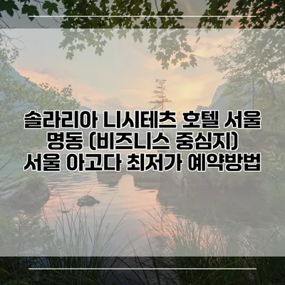 솔라리아 니시테츠 호텔 서울 명동 (비즈니스 중심지) 서울 아고다 최저가 예약방법