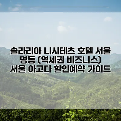 솔라리아 니시테츠 호텔 서울 명동 (역세권 비즈니스) 서울 아고다 할인예약 가이드