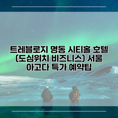 트레블로지 명동 시티홀 호텔 (도심위치 비즈니스) 서울 아고다 특가 예약팁