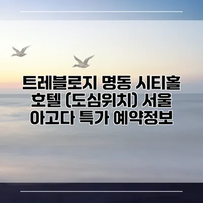 트레블로지 명동 시티홀 호텔 (도심위치) 서울 아고다 특가 예약정보
