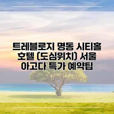 트레블로지 명동 시티홀 호텔 (도심위치) 서울 아고다 특가 예약팁