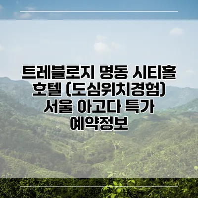 트레블로지 명동 시티홀 호텔 (도심위치경험) 서울 아고다 특가 예약정보