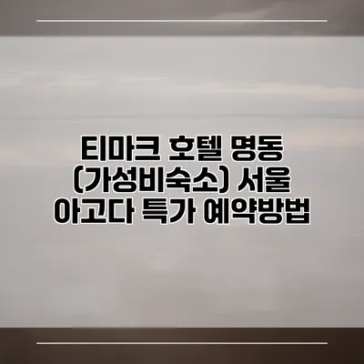 티마크 호텔 명동 (가성비숙소) 서울 아고다 특가 예약방법
