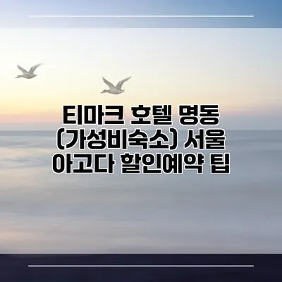 티마크 호텔 명동 (가성비숙소) 서울 아고다 할인예약 팁
