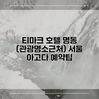 티마크 호텔 명동 (관광명소근처) 서울 아고다 예약팁