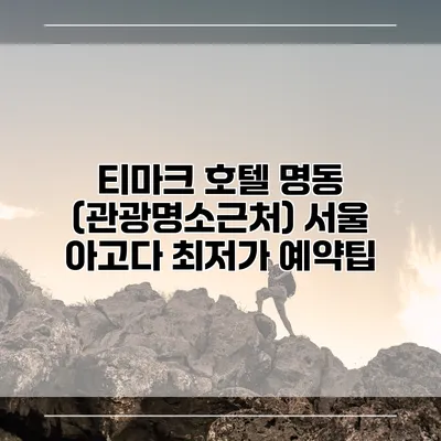 티마크 호텔 명동 (관광명소근처) 서울 아고다 최저가 예약팁