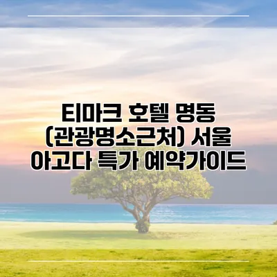 티마크 호텔 명동 (관광명소근처) 서울 아고다 특가 예약가이드