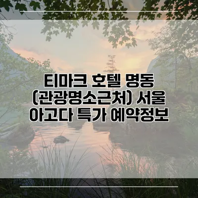 티마크 호텔 명동 (관광명소근처) 서울 아고다 특가 예약정보