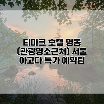 티마크 호텔 명동 (관광명소근처) 서울 아고다 특가 예약팁