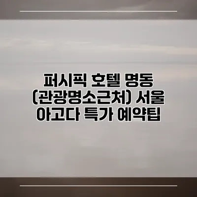 퍼시픽 호텔 명동 (관광명소근처) 서울 아고다 특가 예약팁