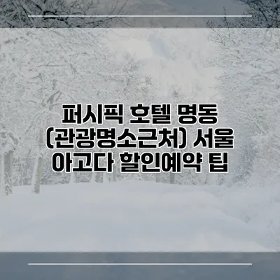 퍼시픽 호텔 명동 (관광명소근처) 서울 아고다 할인예약 팁