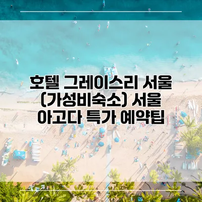 호텔 그레이스리 서울 (가성비숙소) 서울 아고다 특가 예약팁