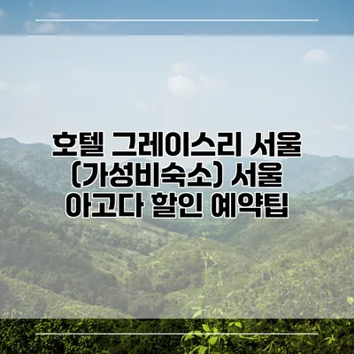 호텔 그레이스리 서울 (가성비숙소) 서울 아고다 할인 예약팁