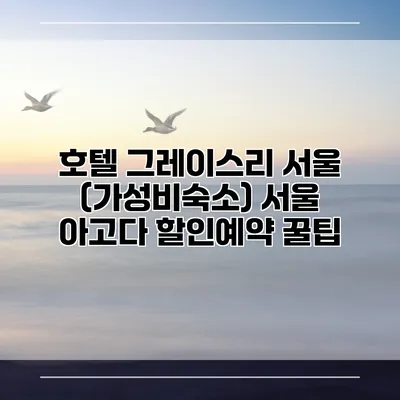 호텔 그레이스리 서울 (가성비숙소) 서울 아고다 할인예약 꿀팁