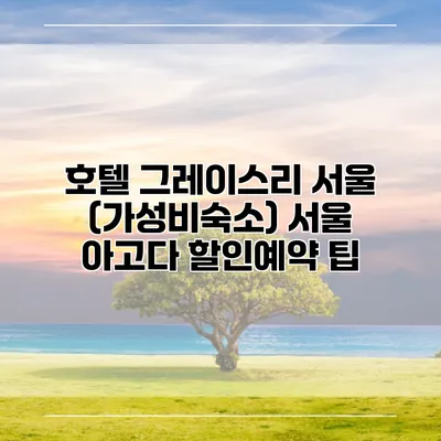 호텔 그레이스리 서울 (가성비숙소) 서울 아고다 할인예약 팁