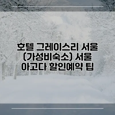 호텔 그레이스리 서울 (가성비숙소) 서울 아고다 할인예약 팁