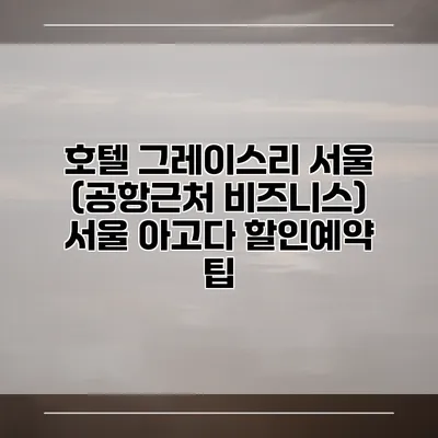 호텔 그레이스리 서울 (공항근처 비즈니스) 서울 아고다 할인예약 팁