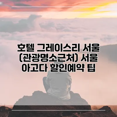 호텔 그레이스리 서울 (관광명소근처) 서울 아고다 할인예약 팁