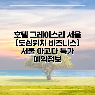 호텔 그레이스리 서울 (도심위치 비즈니스) 서울 아고다 특가 예약정보