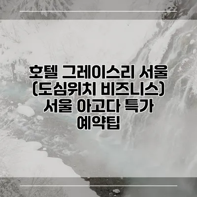 호텔 그레이스리 서울 (도심위치 비즈니스) 서울 아고다 특가 예약팁