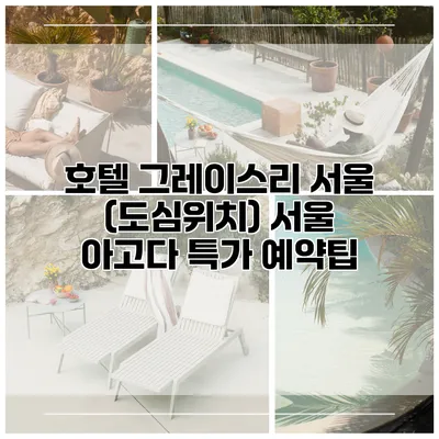 호텔 그레이스리 서울 (도심위치) 서울 아고다 특가 예약팁