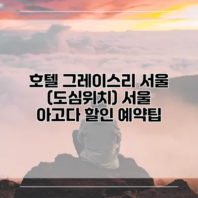 호텔 그레이스리 서울 (도심위치) 서울 아고다 할인 예약팁