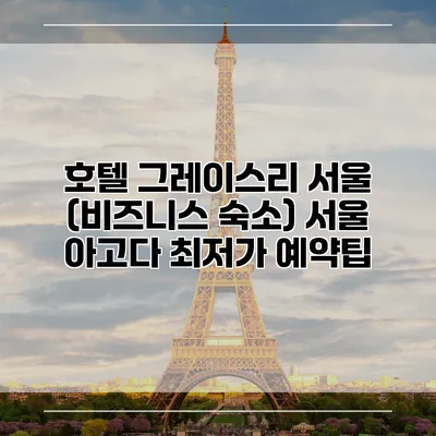 호텔 그레이스리 서울 (비즈니스 숙소) 서울 아고다 최저가 예약팁