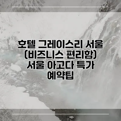 호텔 그레이스리 서울 (비즈니스 편리함) 서울 아고다 특가 예약팁