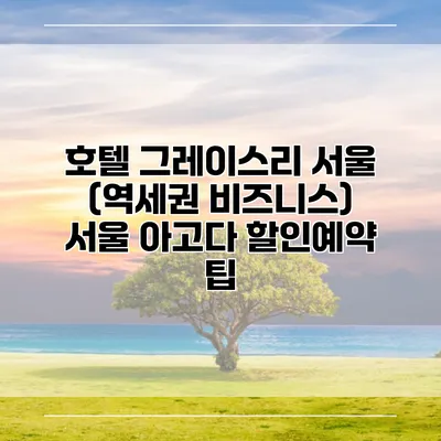 호텔 그레이스리 서울 (역세권 비즈니스) 서울 아고다 할인예약 팁