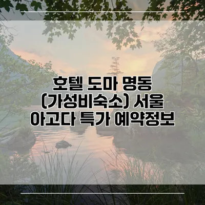 호텔 도마 명동 (가성비숙소) 서울 아고다 특가 예약정보