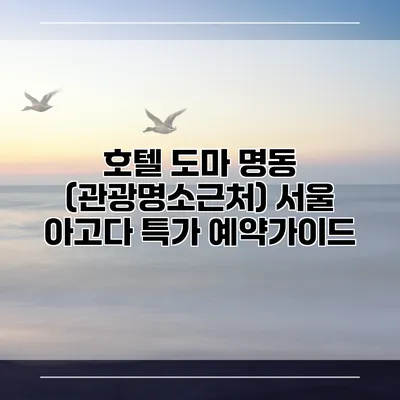 호텔 도마 명동 (관광명소근처) 서울 아고다 특가 예약가이드