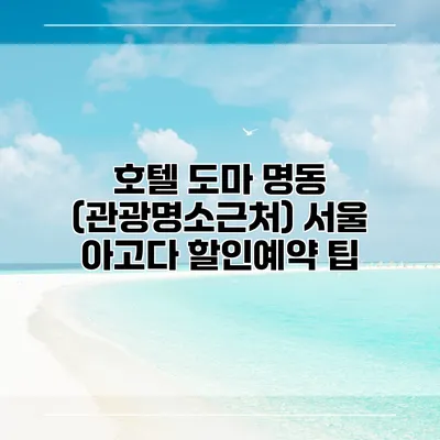호텔 도마 명동 (관광명소근처) 서울 아고다 할인예약 팁
